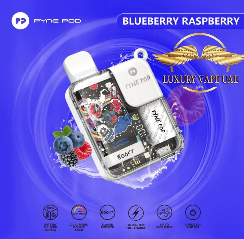 Pyne Pod Boost Disposable Vape - Blueberry CC