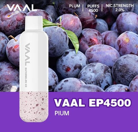 NEW VAAL EP-4500 REACHARGEABLE DISPOSABLE